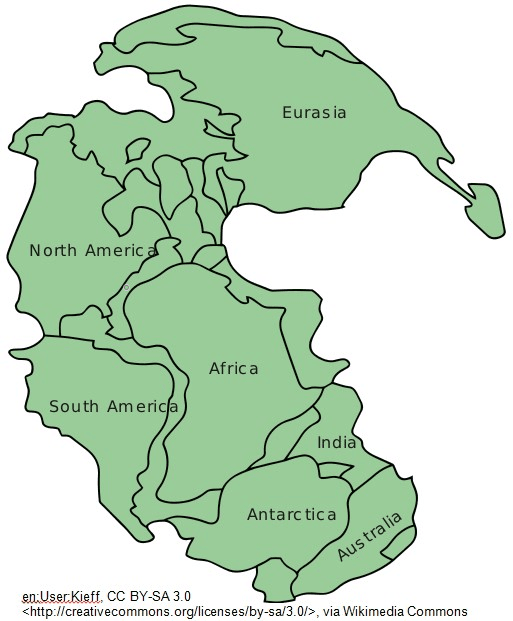 Pangea